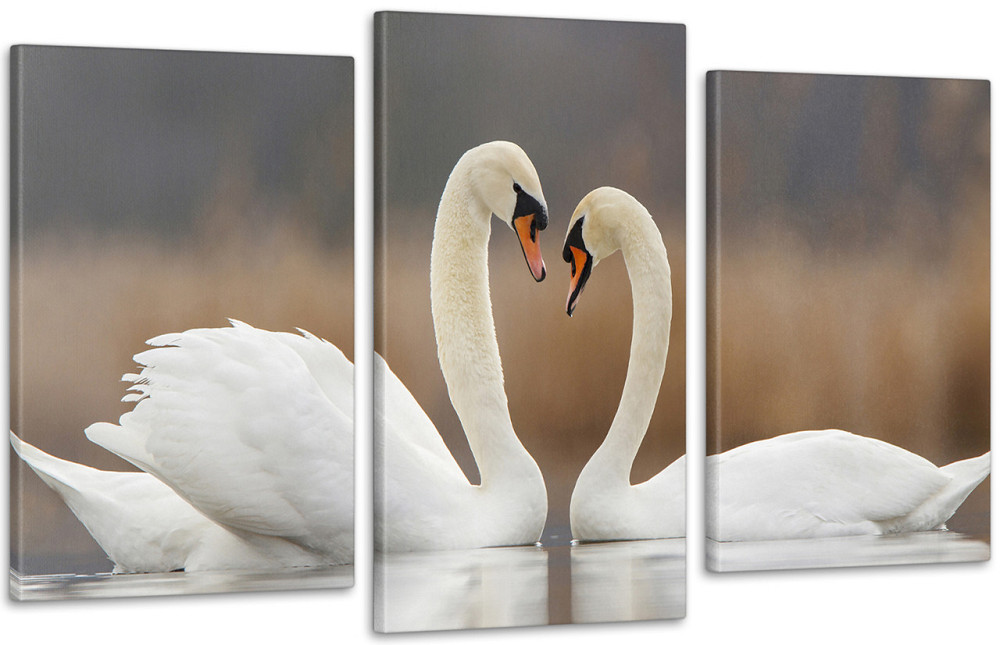 Модульна картина Природа Лебеді Art-127_3 Київ - фото 1
