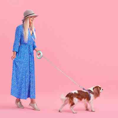 Повідець для собак WAUDOG R-leash світловідбиваюча стрічка XS-M до 40 кг 2.9 м салатовий (81275) Вінниця