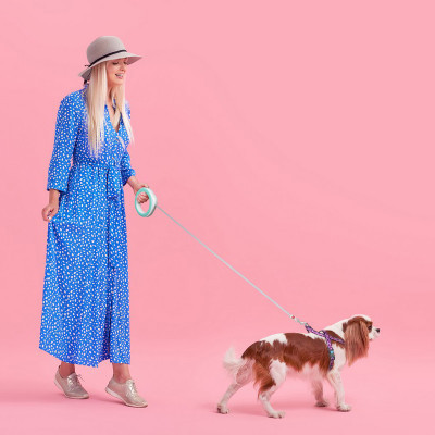 Поводок для собак WAUDOG R-leash светоотражающая лента XS-M до 40 кг 2.9 м салатовый (81275) Винница - изображение 2