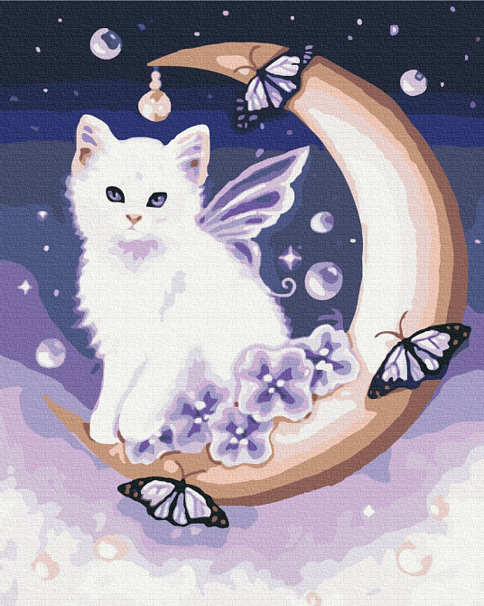 Місячний котик Київ - фото 1
