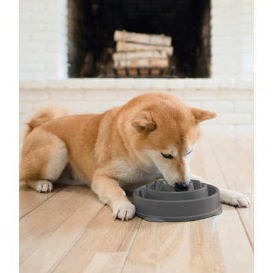 Миска лабиринт для медленного кормления собак Outward Hound Fun Feeder Drop (Аутвард Хаунд Фан Фидер Дроп) Серый Запорожье - изображение 2