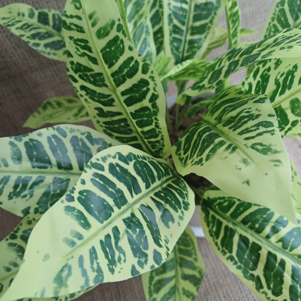 Штучний кущ аглонеми ківі із латексу Дніпро - фото 4