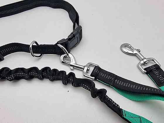 Сумка і повідок для вигулу собак 22838 Луцьк