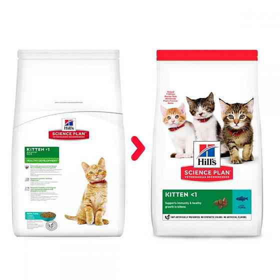 Сухой корм Хиллс Hill's SP Kitten для котят до 1 года с тунцем 300 г Винница