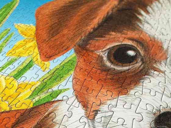 Пазл Сад для цуценят - Puppy Garden (Enjoy-1916) Киев