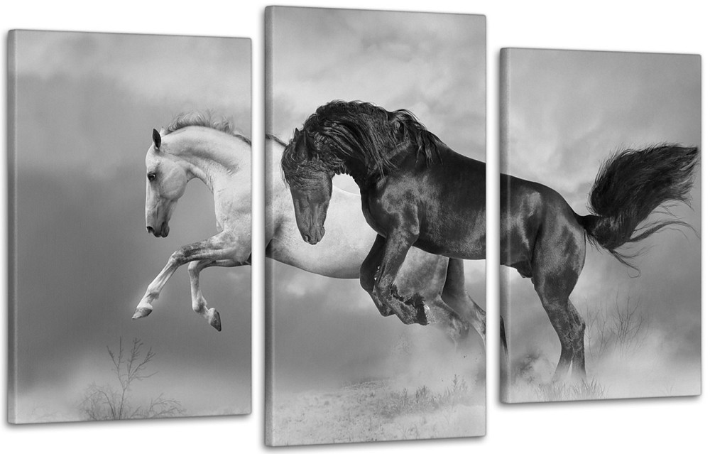 Модульна картина Природа Коні Art-40_3 Київ - фото 1