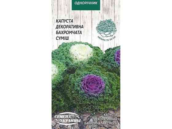 Капуста декоративна Бахромчатая (суміш) ОД 0,2г (10 пачок) ТМ НАСІННЯ УКРАЇНИ Київ
