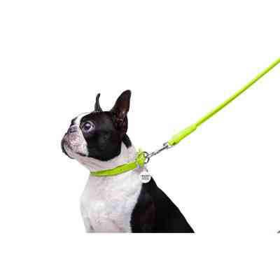 Поводок для собак WAUDOG Glamour круглый XS d 8 мм Д 122 см салатовый (33775) Винница