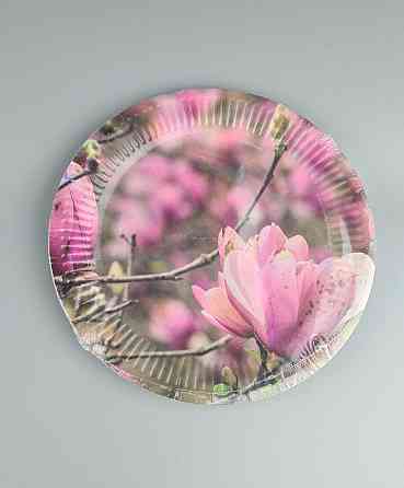 Тарілка паперова 23 см "No57 10 шт (1 пачка) Харків