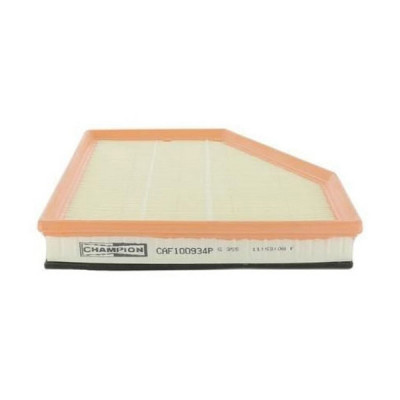 Повітряний фільтр для автомобіля Champion CAF100934P Вінниця - фото 1