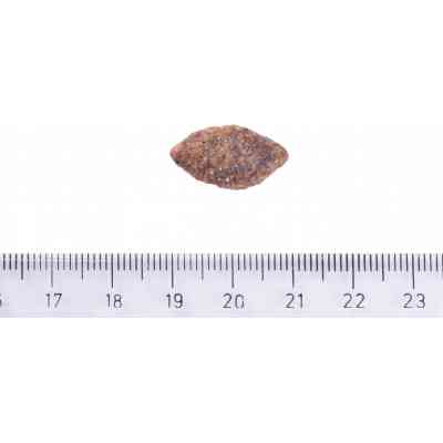 Сухой корм для собак Brit Care Dog Grain-free Sensitive беззерновой с олениной 3 кг (8595602559145) Винница