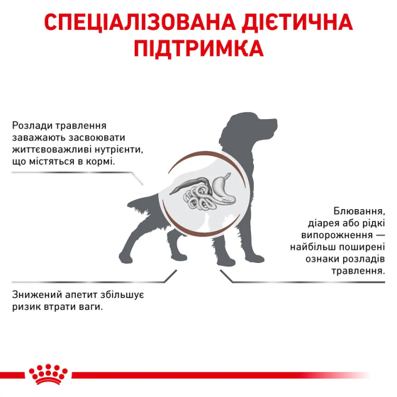 Royal Canin Gastrointestinal (Роял Канін Гастро-Інтестинал) сухий корм для собак у разі розладів травлення Запоріжжя