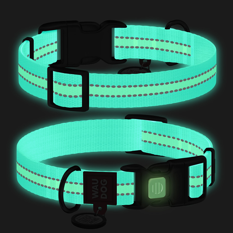 Ошейник для собак нейлоновый WAUDOG Nylon с QR паспортом, светонакопительный/светоотражающий, пластиковый фастекс, Ш 25 мм, Киев - изображение 3