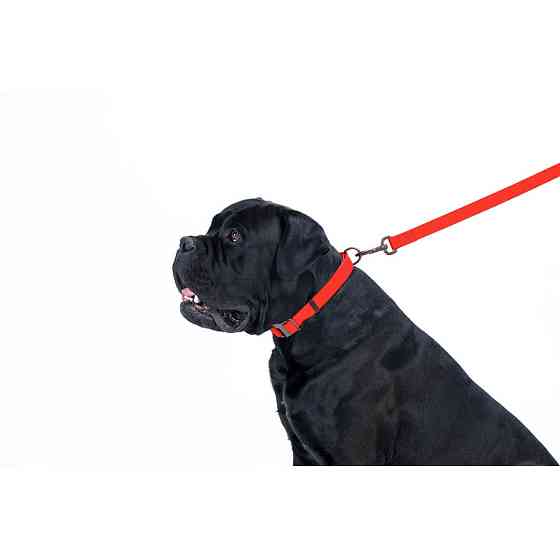 Повідець для собак водостійкий WAUDOG Waterproof, M, Ш 20 мм, Дов 183 см червоний Коломия