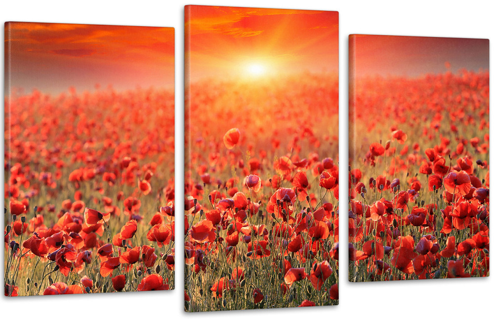 Модульная картина Природа Маки 2 Art-65_3 Киев - изображение 1