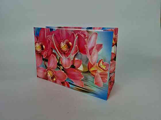 Бумажный большой горизонтальный пакет  36/22/10(артBG-021) (12 шт) Харьков