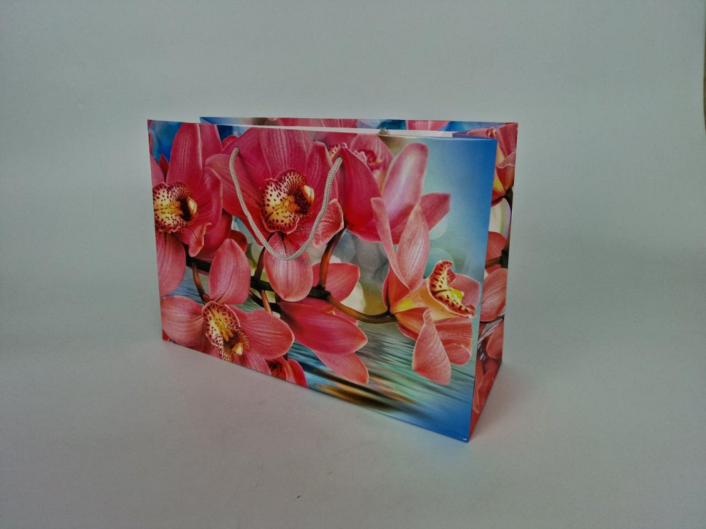 Паперовий великий горизонтальний пакет 36/22/10 (артBG-021) (12 шт.) Харків - фото 1