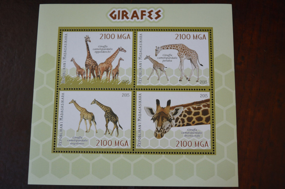 Мадагаскар. Фауна. Личности. Блок. (А-35) Полтава - фото 1