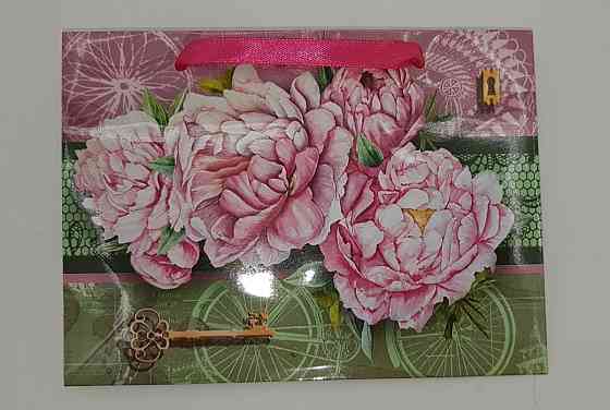 Пакет бумажный малый горизонтальный 11/18/5(арт М001) (12 шт) Харьков