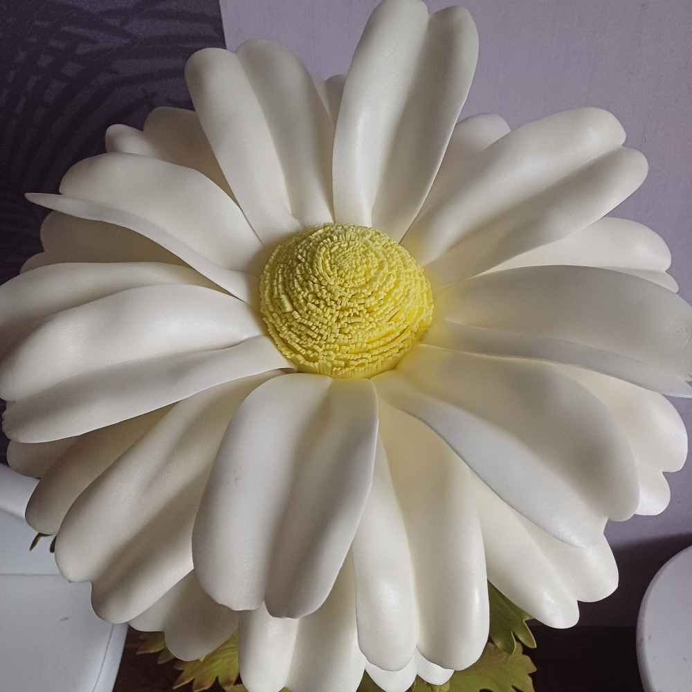 Мініторшер_Ромашка Дніпро - фото 7