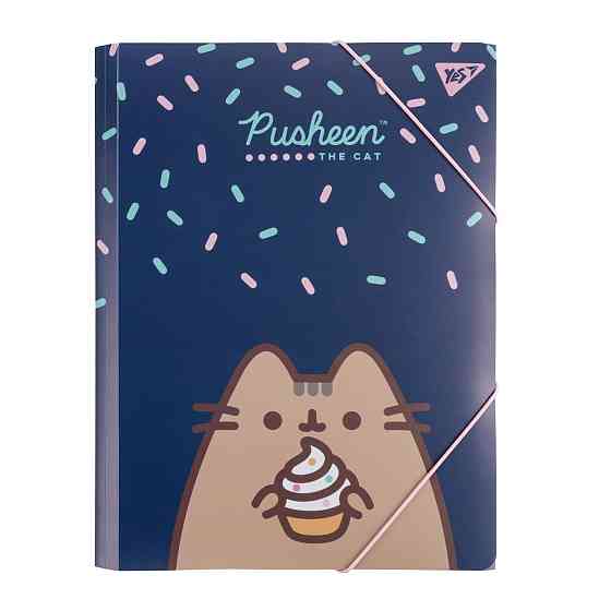 Папка А4 YES на гумці "Pusheen", шт Київ