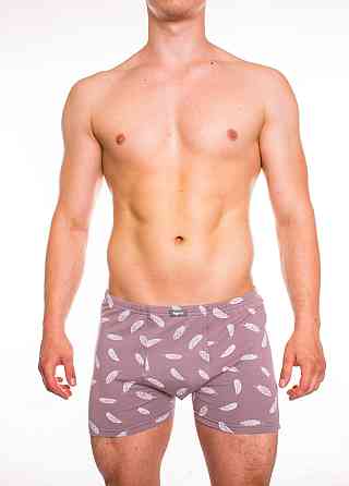 Трусы мужские шорты Bono 950434 48 Киев