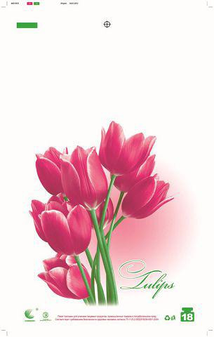 Пакеты Майка п\э (29*47) Комсерв  