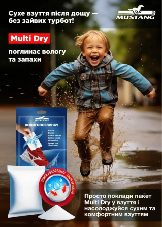 Влагопоглотитель для обуви Multi Dry Mastertool 2 шт по 50 г Ровно