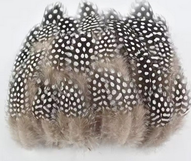 Пір'я цесарки натуральні 20 шт Київ - фото 1