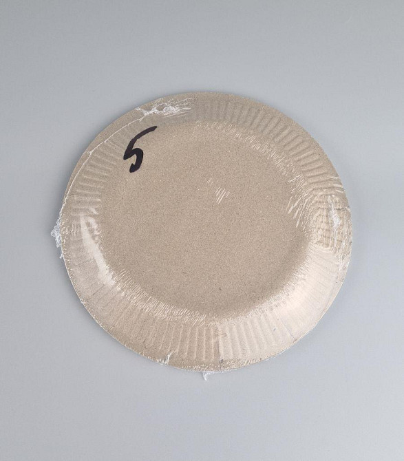 Паперова тарілка з малюнком 18 см "No 5" Літній візерунок 10 шт (1 пачка) Харків - фото 3