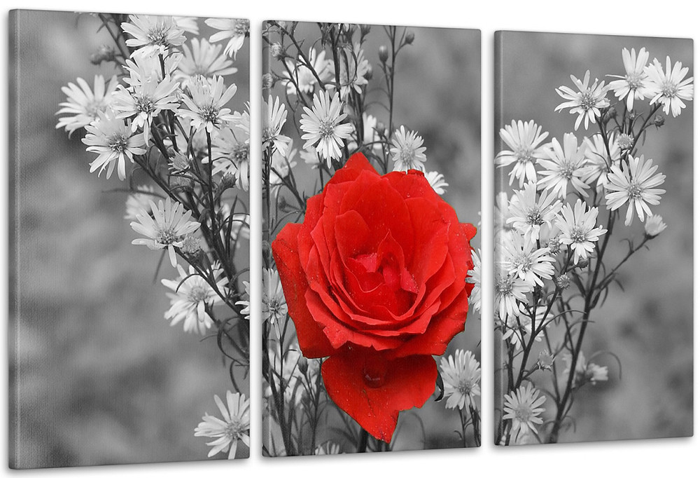 Модульна картина Квіти Троянда Art-3_3А Київ - фото 1