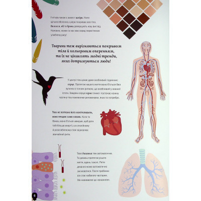 Книга Тіло людини - Кристина Перабоні Жорж (9786177853199) Винница - изображение 2