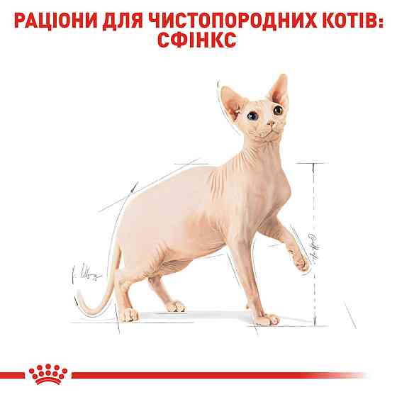 Корм для дорослих котів ROYAL CANIN SPHYNX ADULT 0.4 кг Київ