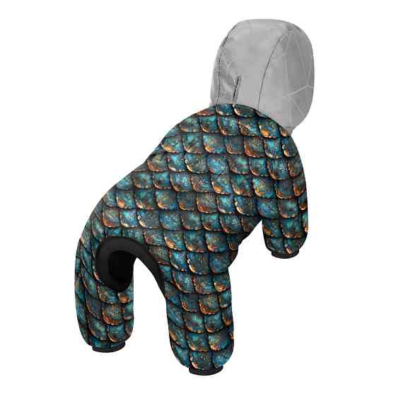 Комбинезон для собак WAUDOG Clothes рисунок 