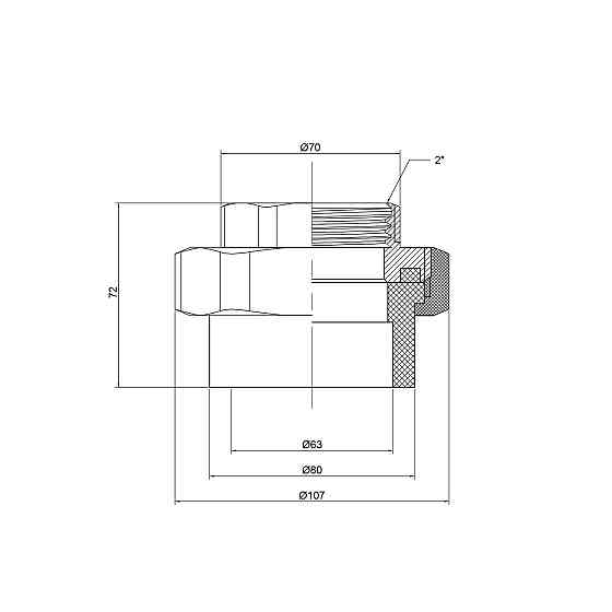 Згін "Американка" PPR Thermo Alliance 63х2" ВР Київ