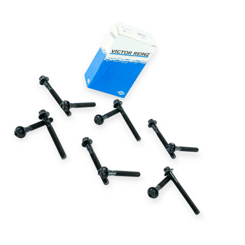 Болт Мерседес Бенс Sprinter, Vito 2.7CDI (96-06) (REINZ) VICTOR REINZ головки Мукачево - изображение 1