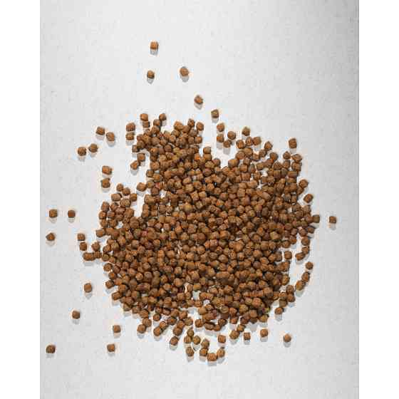 Сухой корм Half&Half для котят, с говядиной, 8 кг Винница