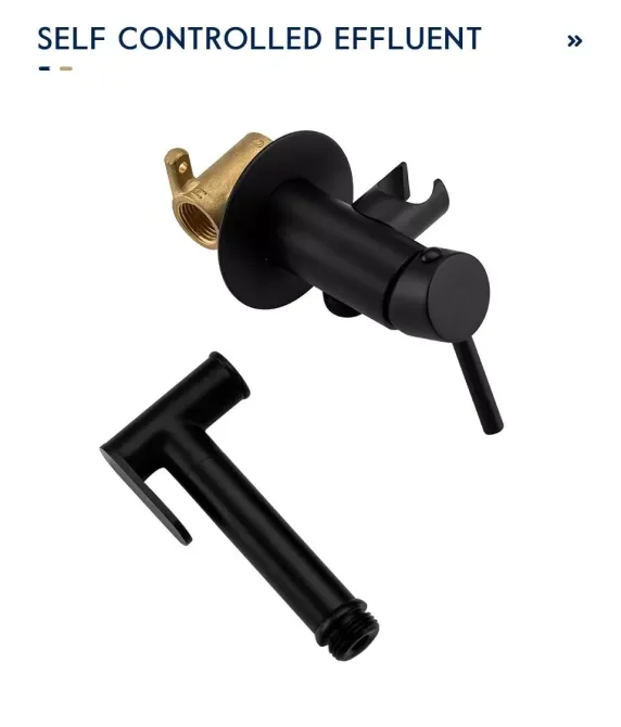 Гігієнічний душ прихованого підключення Frap F7505-6 чорний Київ - фото 7