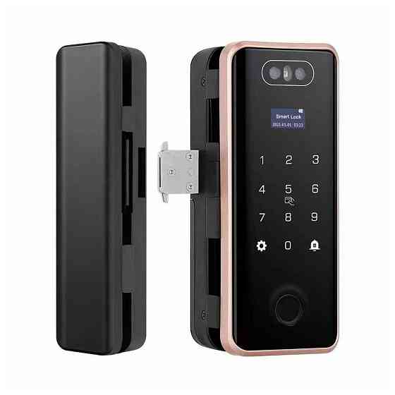 Замок біометричний автономний на скляні двері Trinix TRL-4401BG Tuya з WiFi, розпізнаванням облич, зчитувачем відбитків пальців і Київ