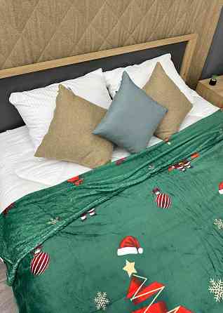 Плед-покрывало 200х230 см с рождественским принтом Разноцветный (87-324) Киев