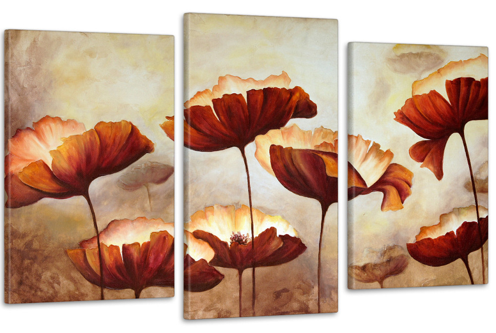 Модульная картина в гостиную / спальню Маки   Art-632_3 Киев - изображение 1