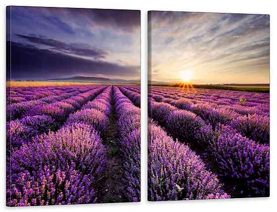 Модульна картина у вітальню/ спальню  Лавандове поле       TLV-2_109 Київ