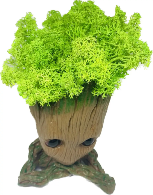 Кашпо горщик зі стабілізованим мохом Грут Groot G3 Вінниця - фото 4