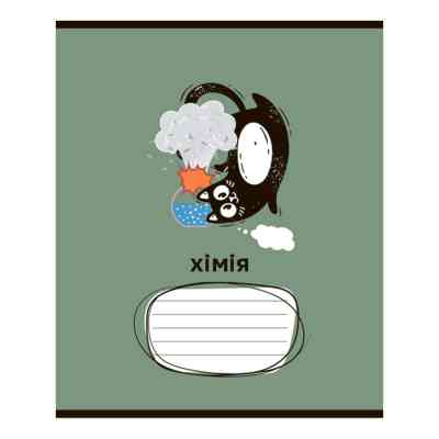 Тетрадь ZiBi набор ученических CRAZY CAT 48 листов ячейка 10 штук, 8 предметов (ZB.1703-99) Винница