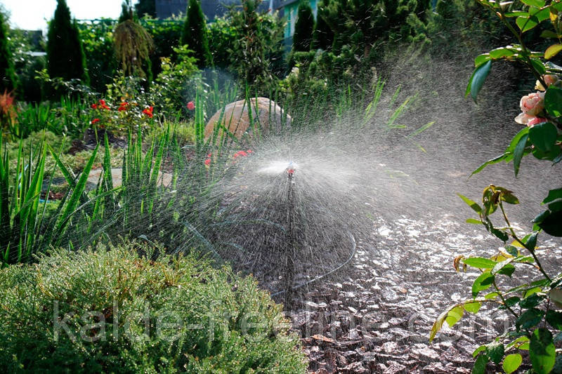 Крапельниця для поливу Presto-PS мікроджет Колібрі MS-8080 (MS-8160) Харьков - изображение 5