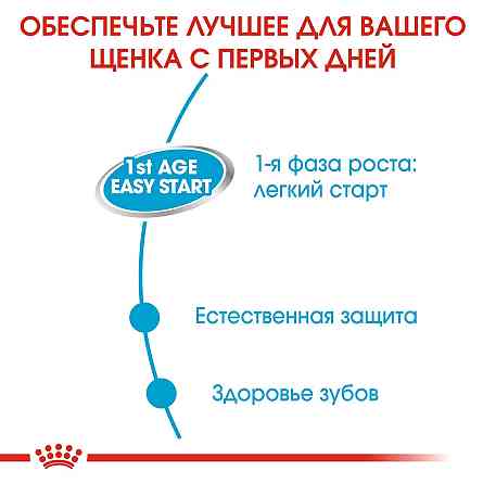 Royal Canin Starter Mousse Mother Babydog (Рояв Канін Стартер Мазер Бебідог) вологий корм для вагітних собак 0.195 кг. Запоріжжя
