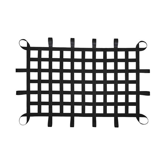 Сетка ленточная загородная (при 1 кв.м) 100х100 Одесса - изображение 3