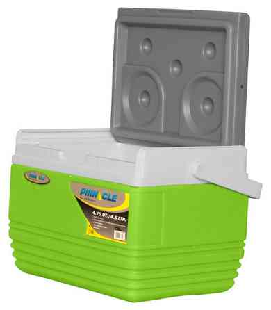 Термобокс Pinnacle Eskimo, 4,5 л салатовий Київ