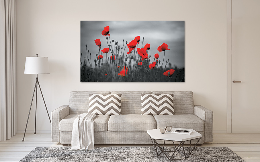 Картина холст в гостиную / спальню  Поле Маків     MLP_164 Киев - изображение 2