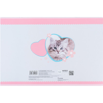 Альбом для рисования Kite Rachael Hale, 12 листов (R24-241) Винница - изображение 10